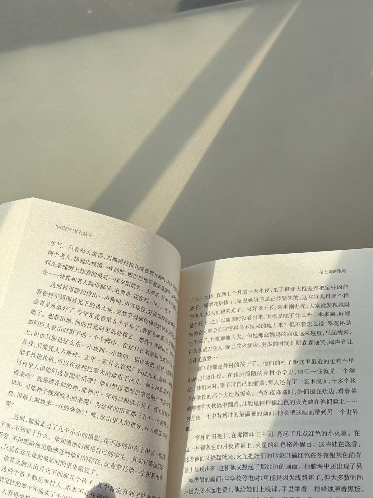 阳光下翻开的书页