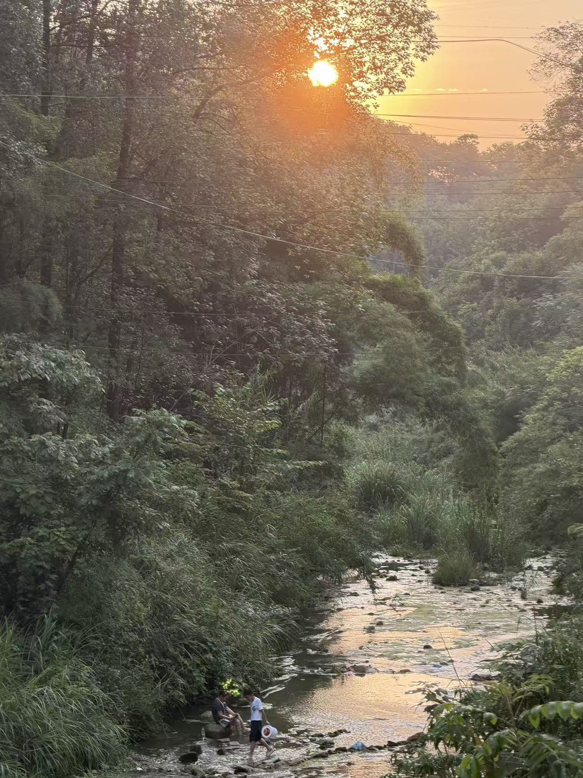 夕阳照在树林与溪流上